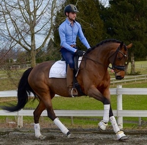 dreesage rider and horse