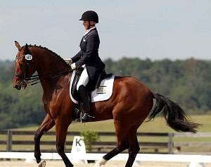 dressage rider and horse