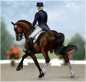 dressage rider and horse